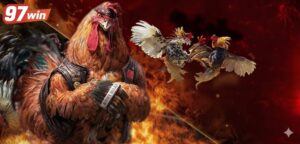 Đá Gà Cựa Sắt Online